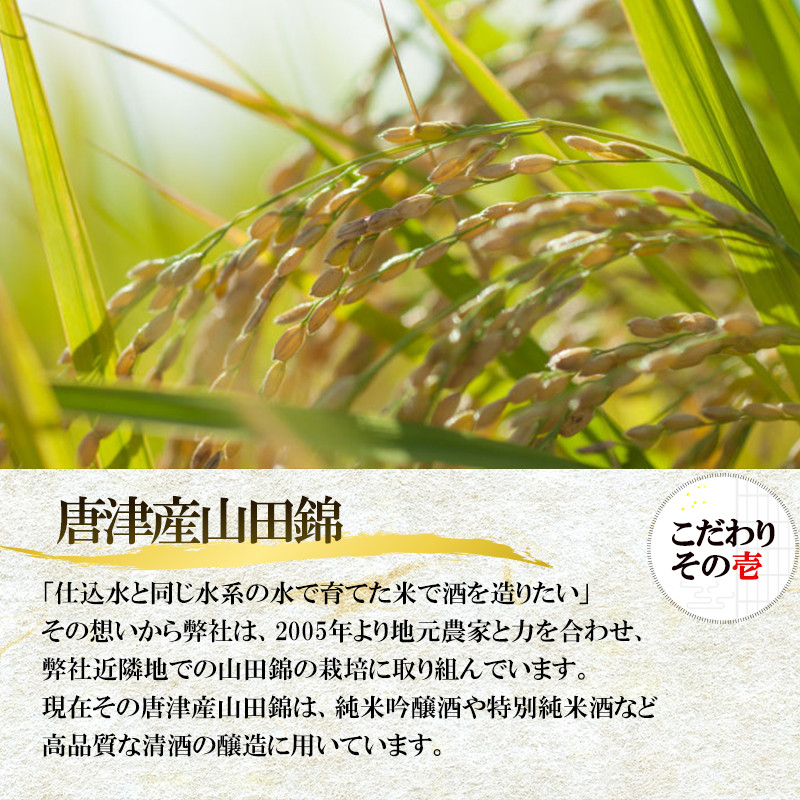 唐津地酒太閤 香味のバランスに優れた吟醸酒と濃淳なうま口純米酒 720ml各1本(計2本) 日本酒味わいセット Ａ-2