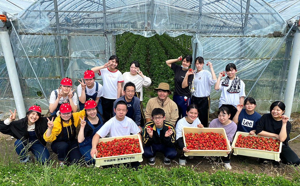 焼き菓子 外はさっくり中はしっとり あまおう マカロン 5個入り 菓子 焼菓子 ギフト おやつ 平岡学園 ※配送不可:沖縄、離島