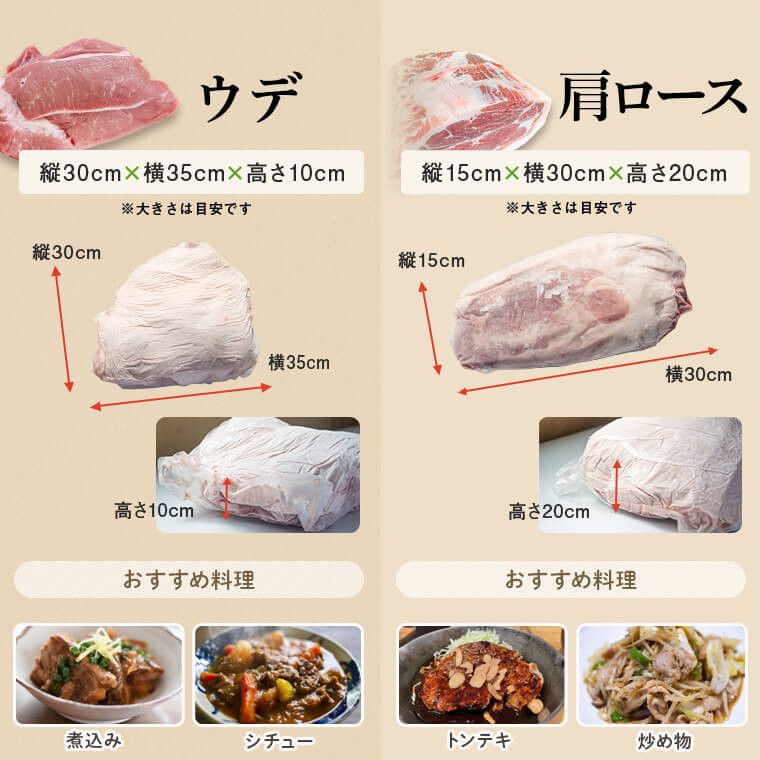 G05031 <一括送付>鹿児島県産豚1頭ブロックセット(6箱・総量約50kg前後) 肝付町 特産品 豚肉 肉ロース 肩ロース バラ ウデ モモ ヒレ スペアリブ 鹿児島 【大将食品】