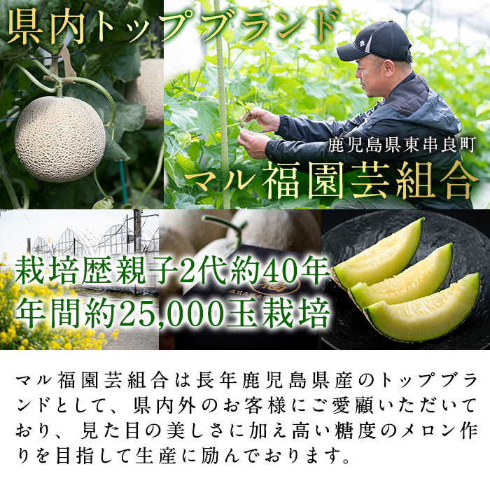 【0281111a】＜厳選極み＞マル福の高級アールスメロン(大玉2玉・計3.4kg以上)メロン フルーツ 果物 果実 3キロ 数量限定 期間限定 贈答 贈り物【マル福園芸組合】