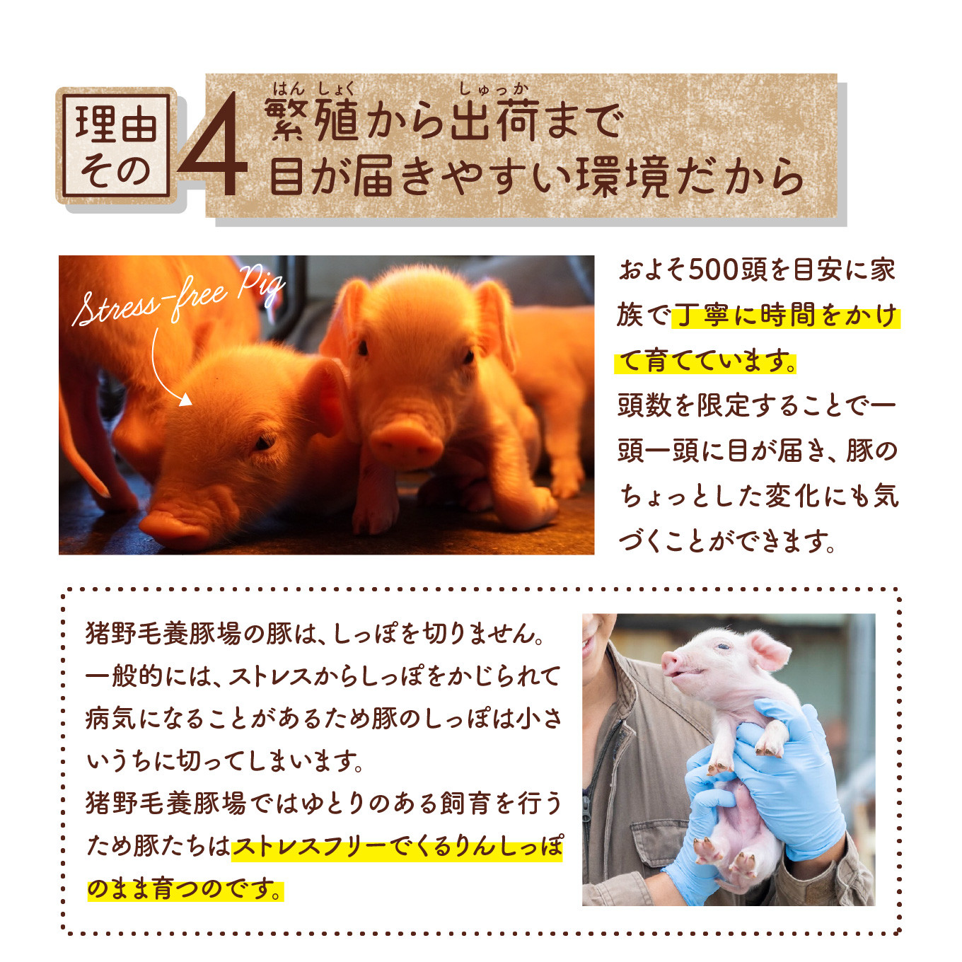 北海道産 健酵豚 ハンバーグ 計 900g (150g ×6個) 豚肉 ブランドポーク ハンバーグステーキ 簡単調理 惣菜