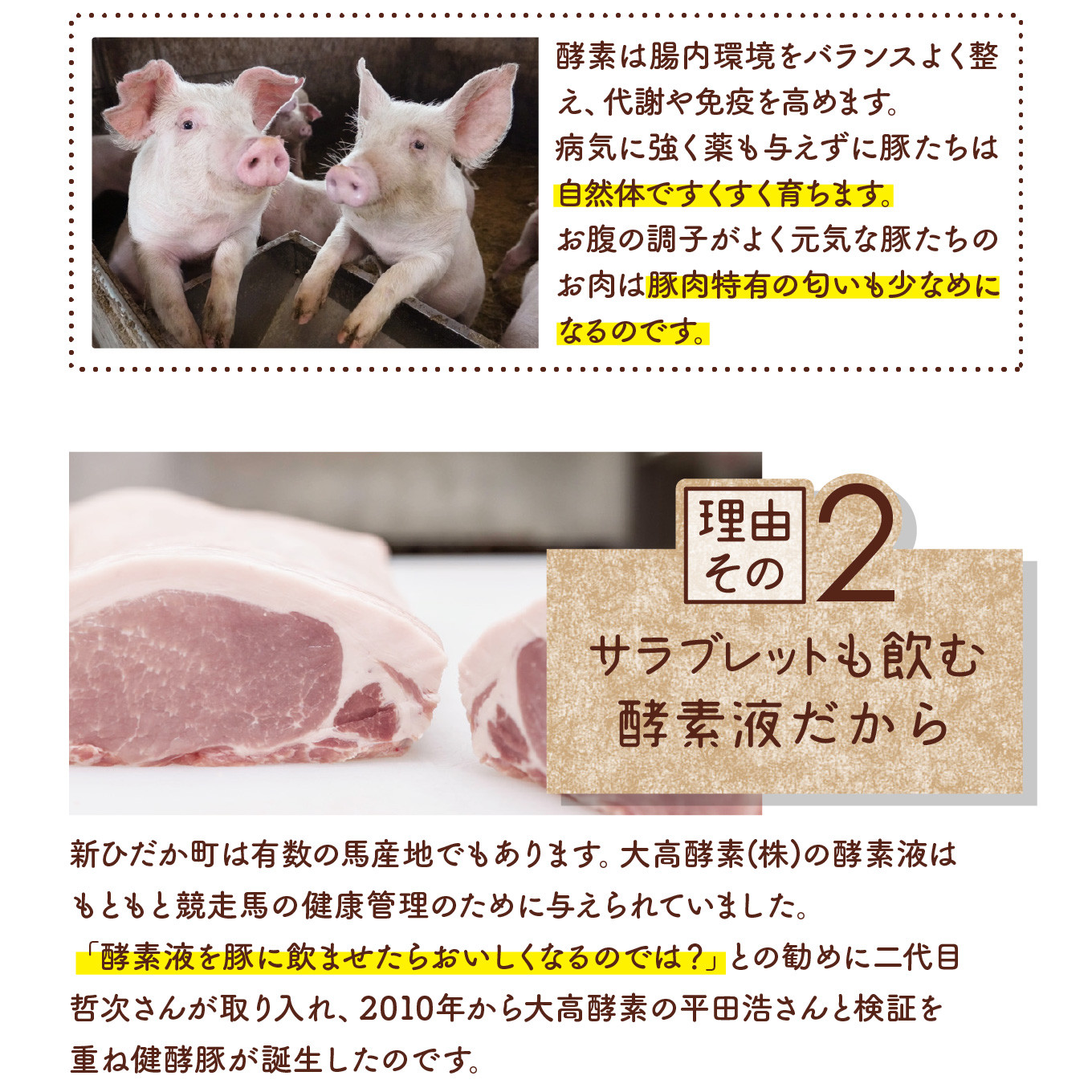 北海道産 健酵豚 ハンバーグ 計 900g (150g ×6個) 豚肉 ブランドポーク ハンバーグステーキ 簡単調理 惣菜