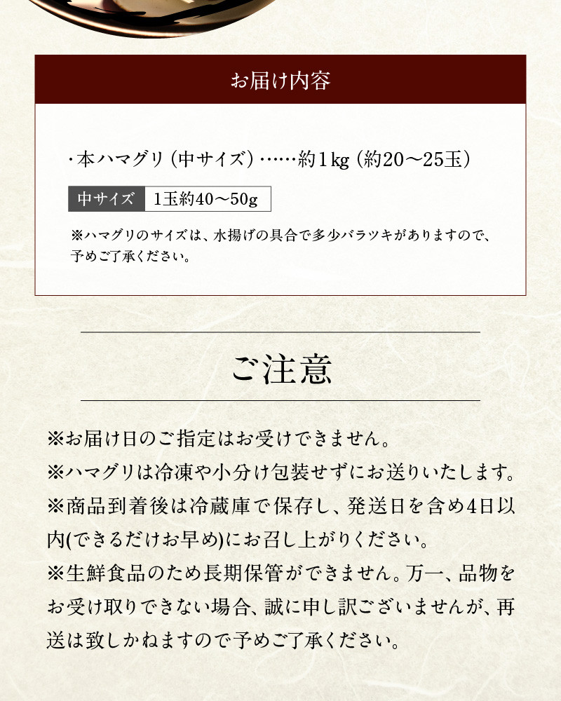 111-3　KKN水産　　天然!!　有明海産の本ハマグリ　　（中サイズ　約１㎏）