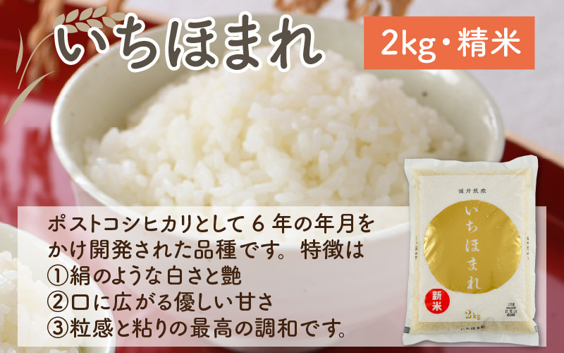 【先行予約】福井のお米 食べ比べセット 2kg × 3種（コシヒカリ・いちほまれ・ハナエチゼン）計6kg 【2026年10月上旬～2027年7月下旬発送予定】 [A-1009]