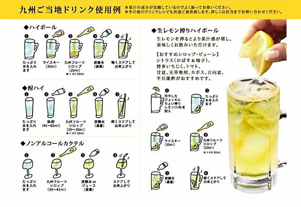 九州 果実 シロップ セット 500ml×3本 甘夏 デコポン 天草晩柑