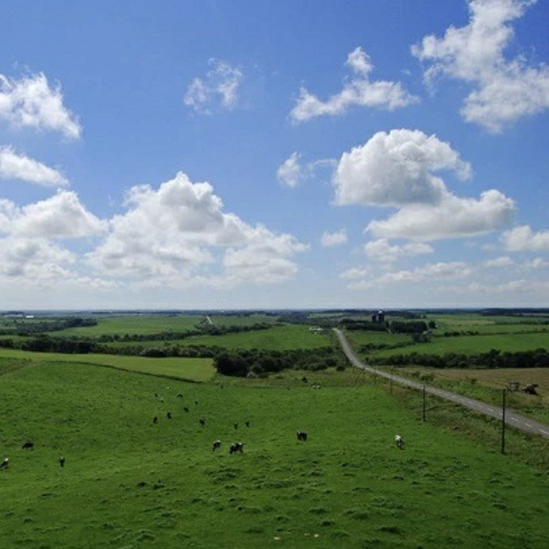 御礼！ランキング第1位獲得！ 別海町産マスカルポーネチーズ使用デリス プリン（１２０g×４本）×８ヵ月(ふるさと納税 定期便 マスカルポーネ チーズ ちーず プリン 北海道 別海町 ８ヵ月 ８ヵ月 8回 ふるさとチョイス ふるさと納税 仕組み キャンペーン 限度額 計算 ランキング やり方 シミュレーション チョイス チョイスマイル )