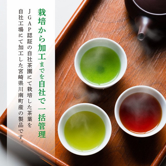 「六車農園」お茶Mセット 【 九州産 宮崎県産 川南町産 茶 お茶 ティーバッグ 国産茶 飲料 日本茶 飲みやすい 使いやすい 】