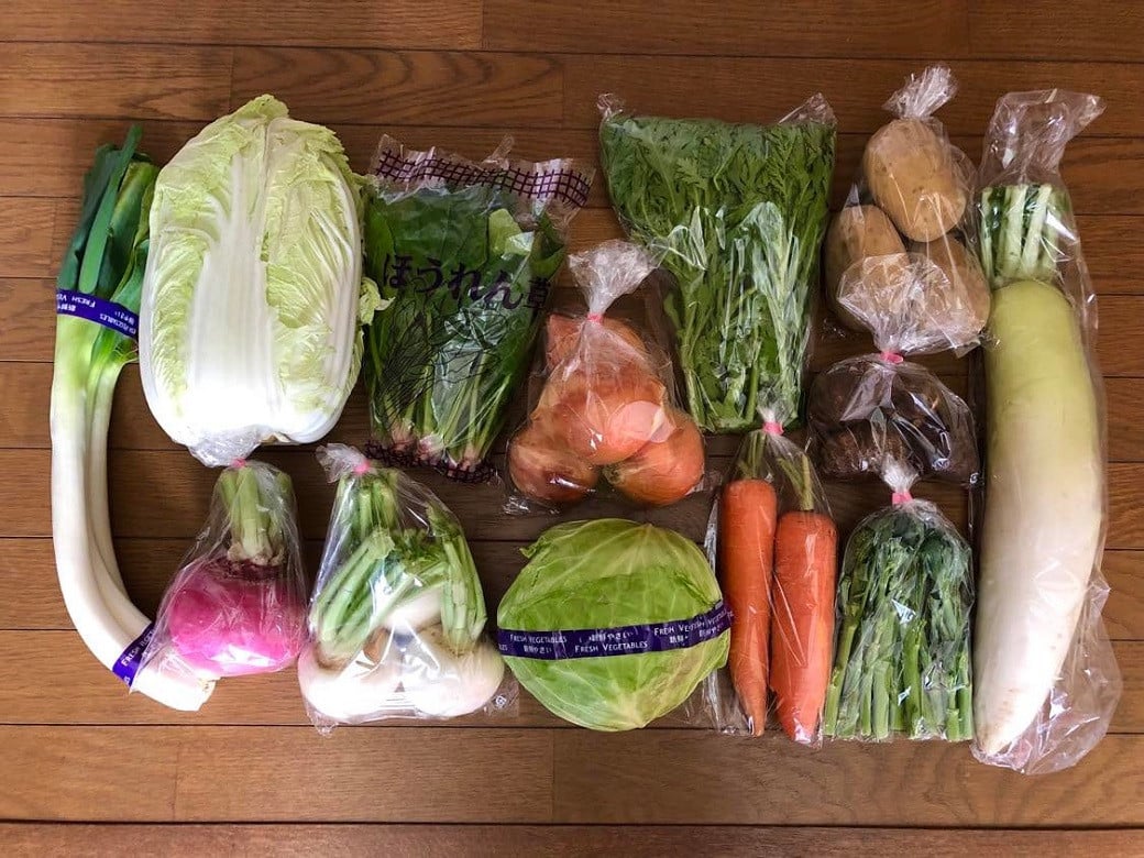 【定期便 全7回】産地直送 新鮮野菜セット《10品以上》 旬野菜 詰め合わせ 採れたて 定期便 季節 野菜 おまかせ 旬 春野菜 夏野菜 秋野菜 果物 新鮮 岩手県産 国産 詰め合わせ 定期便 定期 人気 岩手県 一関市