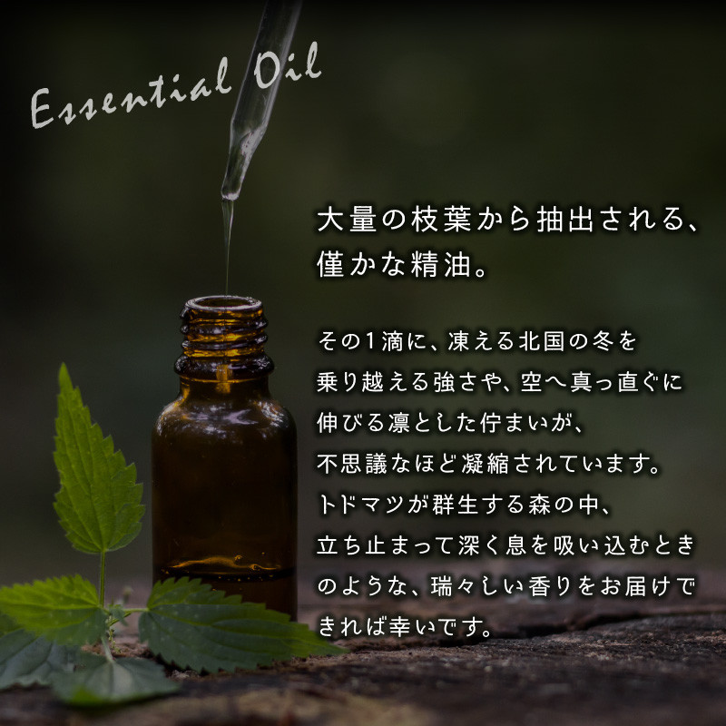 浜中町生まれトドマツ精油『とどろっぷ』5ml 5本_250701