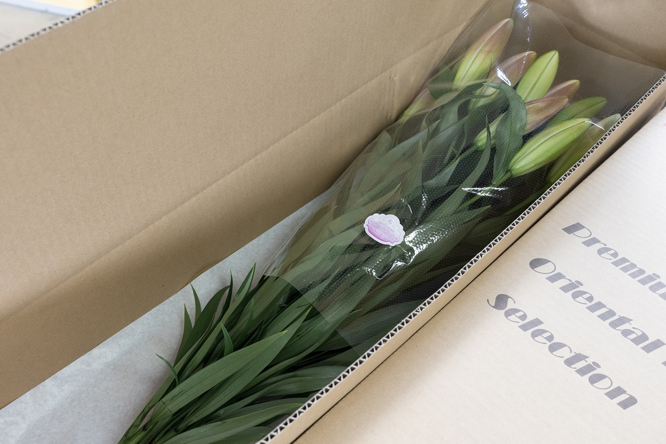 ユリ オリエンタルリリー 5本セット 花束 贈り物 ギフト プレゼント 誕生日 母の日 父の日 敬老の日 記念日 お祝い 結婚式 ウェディング ブーケ 華やか 大輪 香り 優雅 エレガント つぼみ ピンク 白 高級 切り花 福田園芸 花好き こだわり 栽培 メッセージカード ラッピング 安芸市 高知県