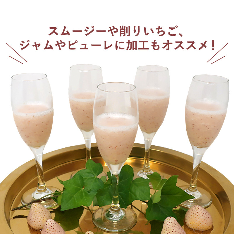 数量限定 白いちご 雪うさぎ 冷凍 2kg (佐賀県唐津市産)