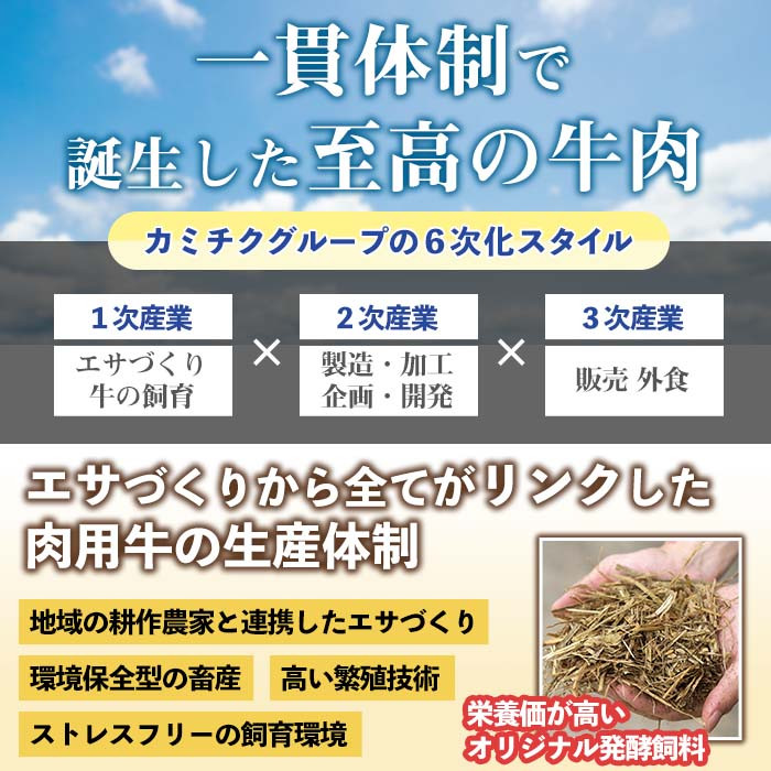 i828  簡単おかず煮込み３種類(計1.3kg)  鹿児島県 牛肉 肉 黒毛和牛 豚肉 牛すじ 牛筋 すね肉 角煮 甘辛 赤ワイン 赤ワイン煮 おかず【カミチク】
