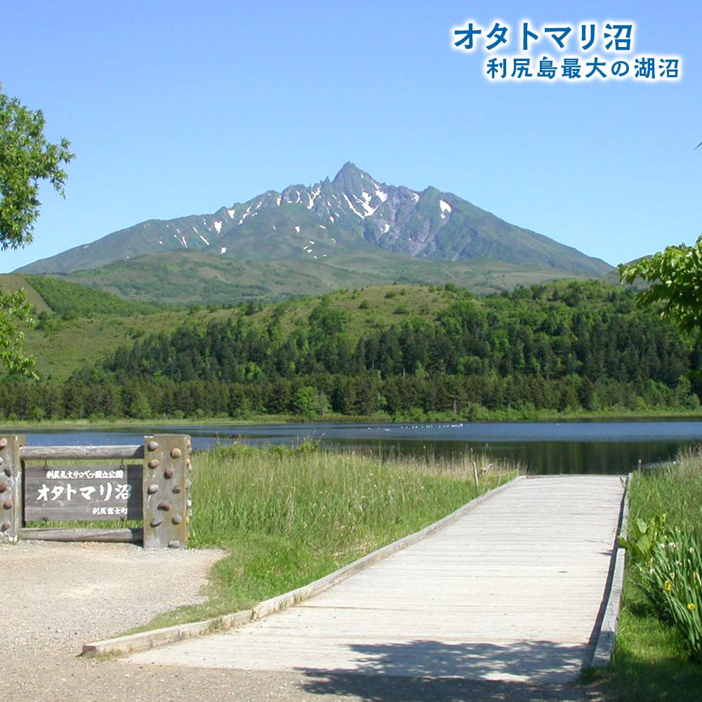 利尻島周遊♪貸切観光タクシー5時間フリー利用券（小型タクシー4名様まで）