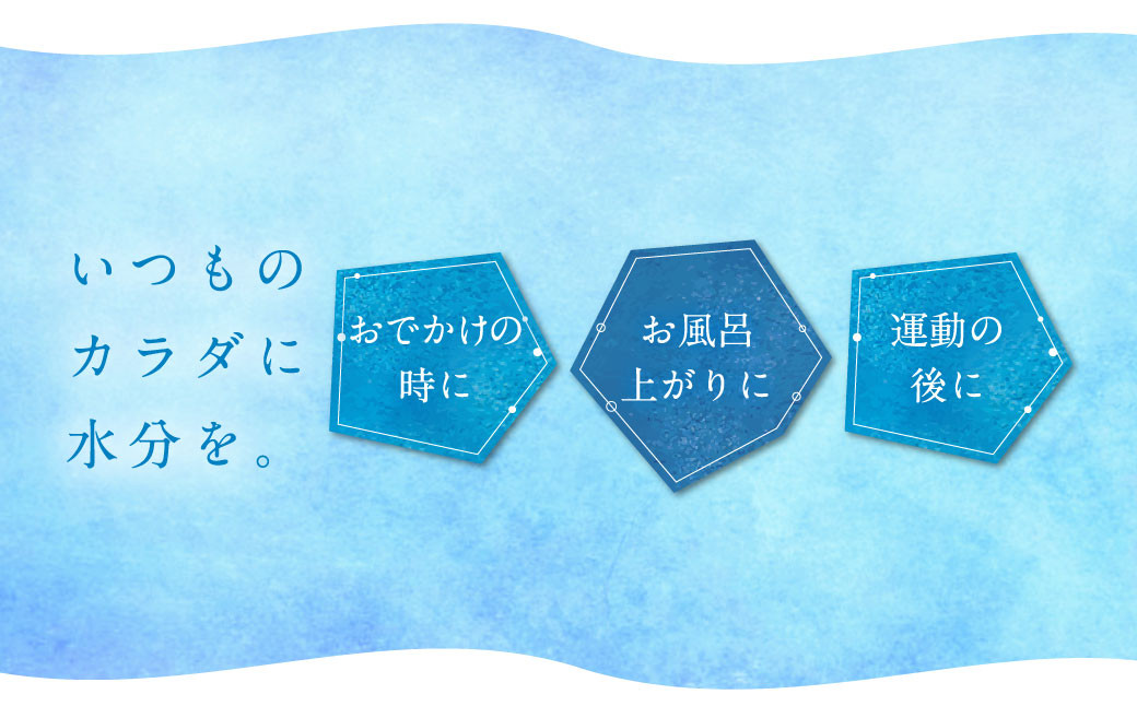 【12ヶ月定期便】なめらかつややかしっとり天然水 500ml 合計48本 24本×2ケース 12回 株式会社サンコー熊本営業所《お申し込みの翌月から出荷》天然水 軟水 鉱水 シリカ水 飲料水 ミネラルウォーター ペットボトル 熊本県 菊池市 送料無料