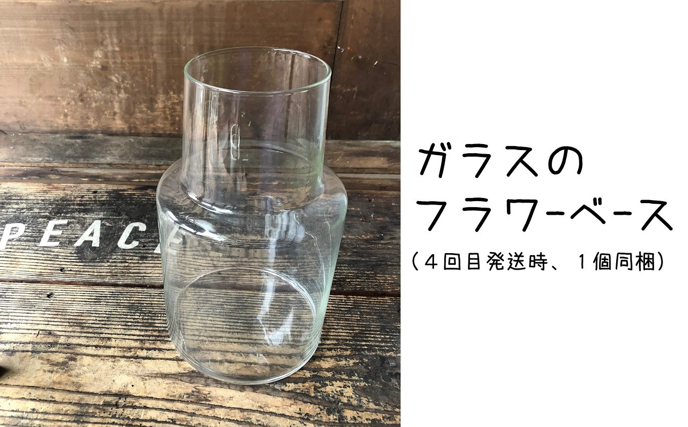 【定期便】季節の花束 6ヶ月コース[ZE939]