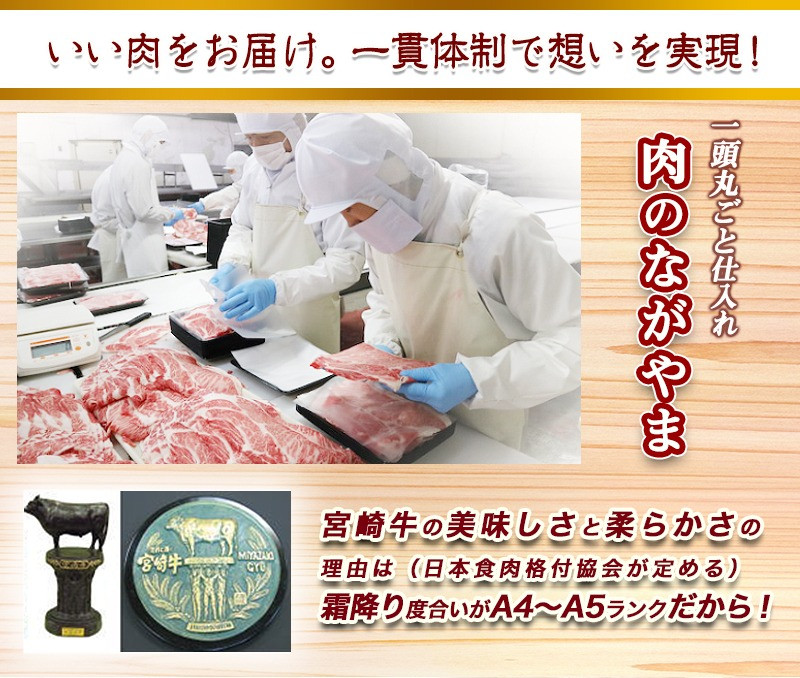 宮崎牛ヒレ・サーロインステーキ640g_AD-2504_(都城市) 食べ比べ 牛肉 ブランド牛 ヒレステーキ 120g×2枚 サーロインステーキ 200g×2枚 ソース 塩コショウ 真空パック 希少部位