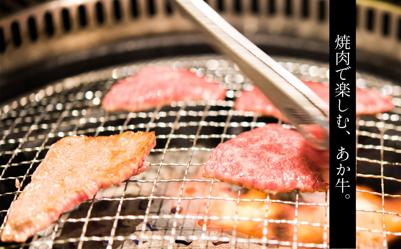 あか牛 ささっと焼肉用 500g | 肉 にく お肉 おにく 牛 牛肉 和牛 焼肉 熊本県 玉名市
