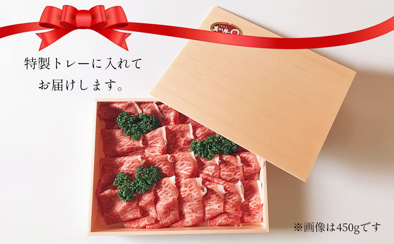あか牛 ささっと焼肉用 500g | 肉 にく お肉 おにく 牛 牛肉 和牛 焼肉 熊本県 玉名市