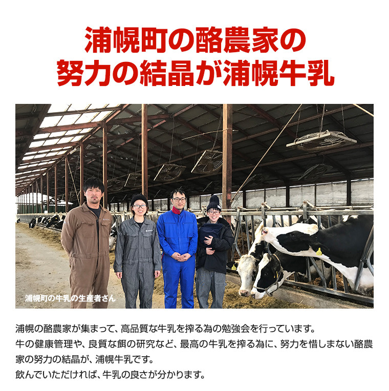 【定期便3回】90日常温保存！ロングライフ牛乳 北海道 森永北海道3.6牛乳 常温長期保存 大容量 定期便も選べる 1000ml×12本入り 1L 12L 十勝森永浦幌乳業 北海道 浦幌町 送料無料 乳 3.6 牛乳 ミルク 牛乳パック 濃厚 浦幌工場直送 常温保存 森永 十勝 お取り寄せ