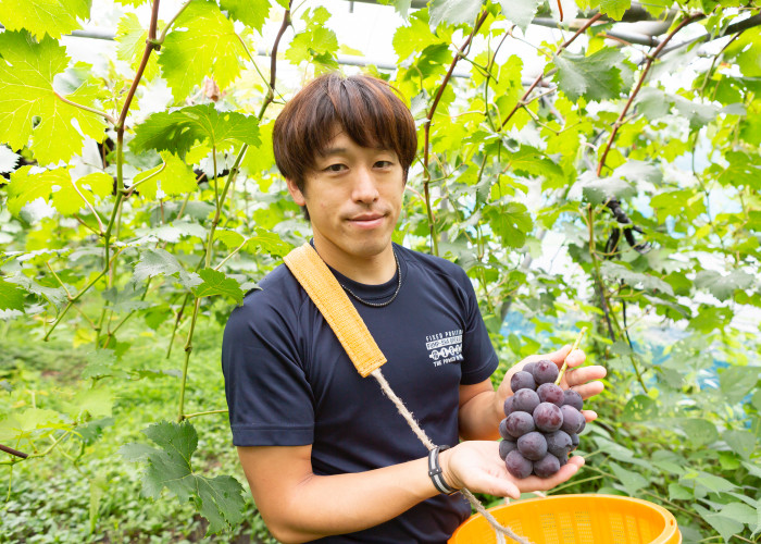 中村柿ぶどう園 ぶどう100%ジュース(ストレート) 180ml×5個入り