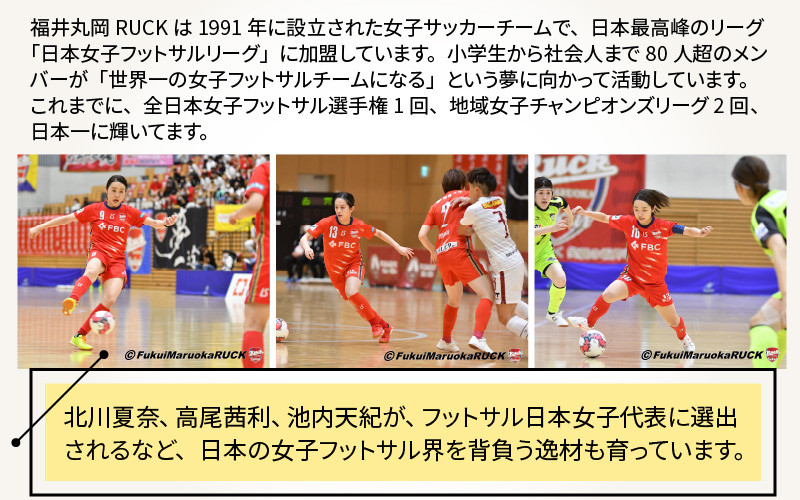 福井丸岡RUCK 公式戦ユニフォーム（黄）150～XXLサイズ（L） [E-13804_05]