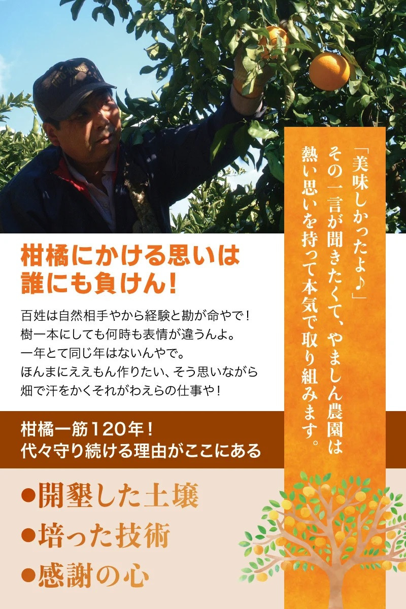 【先行予約】＼有機質肥料100%／ こだわりの青切りみかん 約4kg サイズ混合 【2026年9月～10月に順次発送予定】【nuk142C】