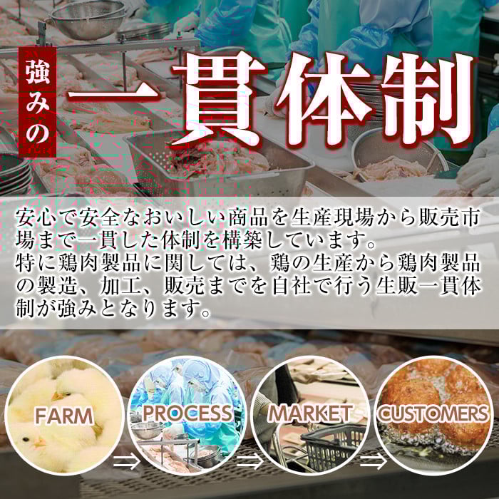 A0-272 森林どり むね肉(2kg×3袋・計6kg)【ウェルファムフーズ】霧島市 鶏胸肉 鶏ムネ肉 6kg 鶏むね 国産 鳥肉 鶏肉 胸肉