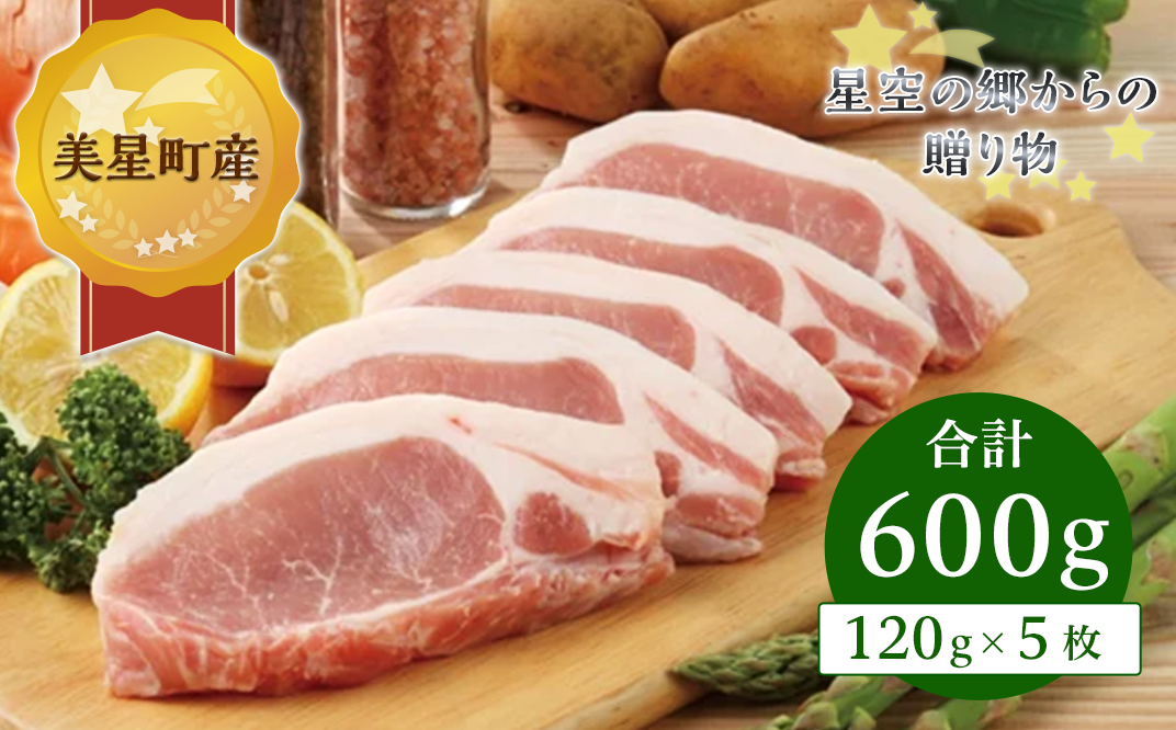 A-12ローステキカツ(120g×5枚)【美星町産豚肉】