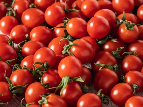 ワイン酵母仕込み茜鶴ミニトマトのお酒甘口200mlと宮トマト500gのセット / 酒 お酒 アルコール 甘口 ミニトマト トマト / 諫早市 / 株式会社宮下農園  [AHCG002]