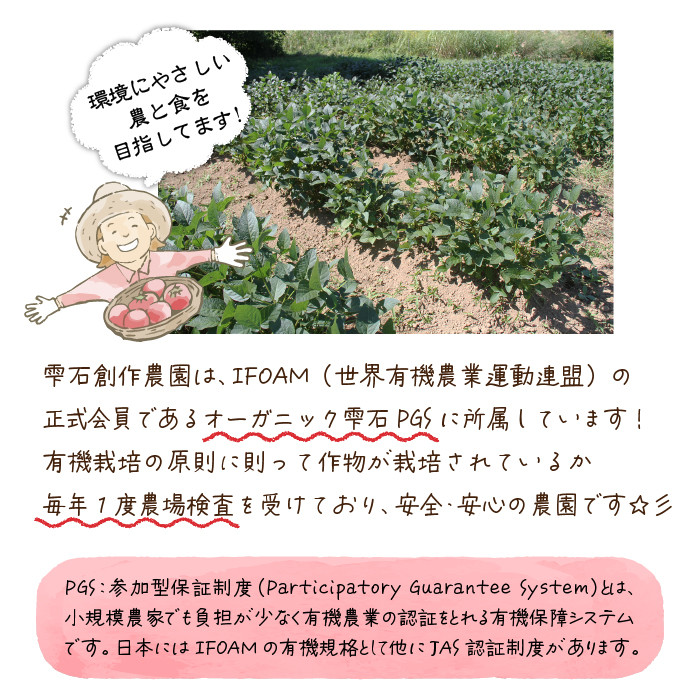 ドレッシング豆3種類セット(瓶)【雫石創作農園】/ 味付き 味付き豆 ビーンズ 豆