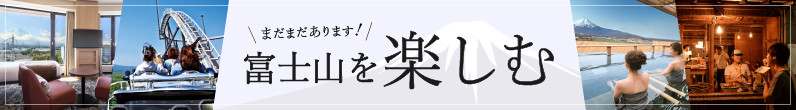手相鑑定(2名様分)　≪笑ってコラえて！出演≫  占い チケット 手相 古民家 カフェ 山梨 富士吉田