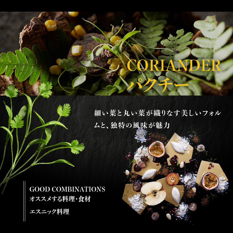 【マイクロハーブ セット（D）／スターターA】