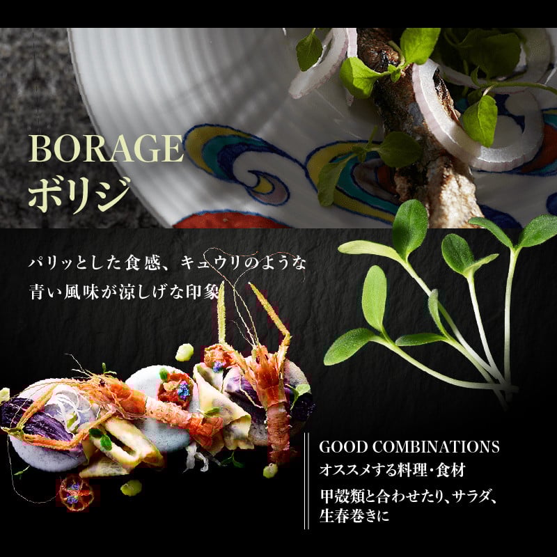 【マイクロハーブ セット（D）／スターターA】