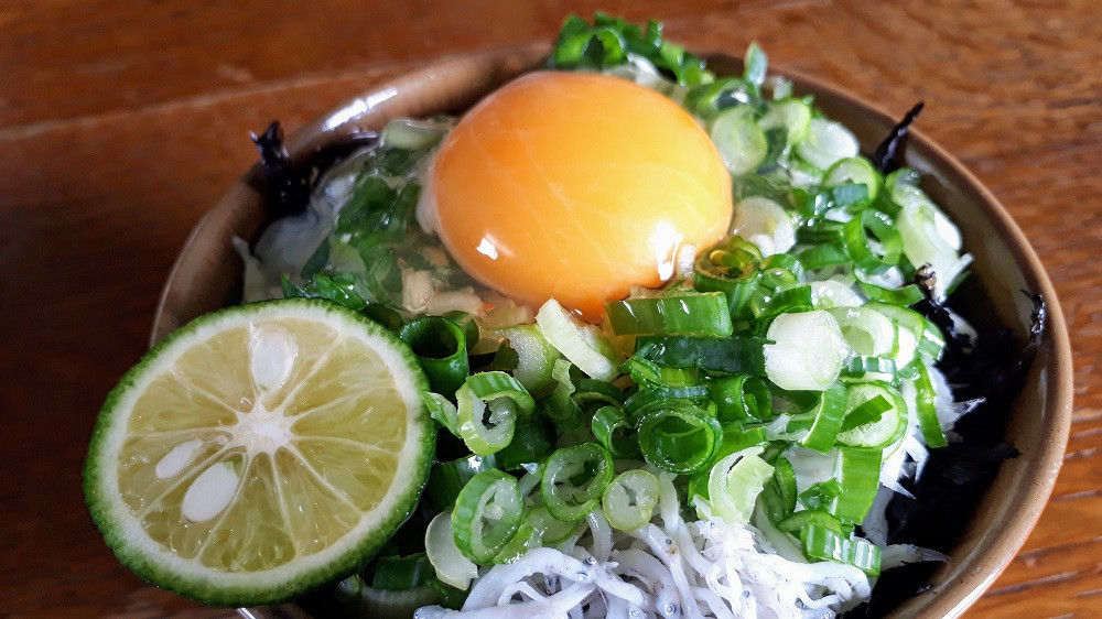 青ネギ 選べる 容量 2kg 【 シャキとろ 青ネギ 】ねっこ農園 丸ごと 食べれる 苦みえぐみが少ない 順次発送 薬味 ネギ 野菜 葱 味噌汁 うどん 鍋 朝ご飯 徳島県 吉野川市