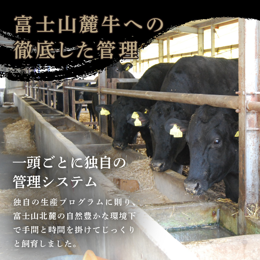富士山麓牛 ロース薄切り&ロースステーキセット 牛肉 食べ比べ 薄切り 計1.6kg ステーキ 国産 富士山麓牛 精肉 冷凍 送料無料 山梨 富士吉田