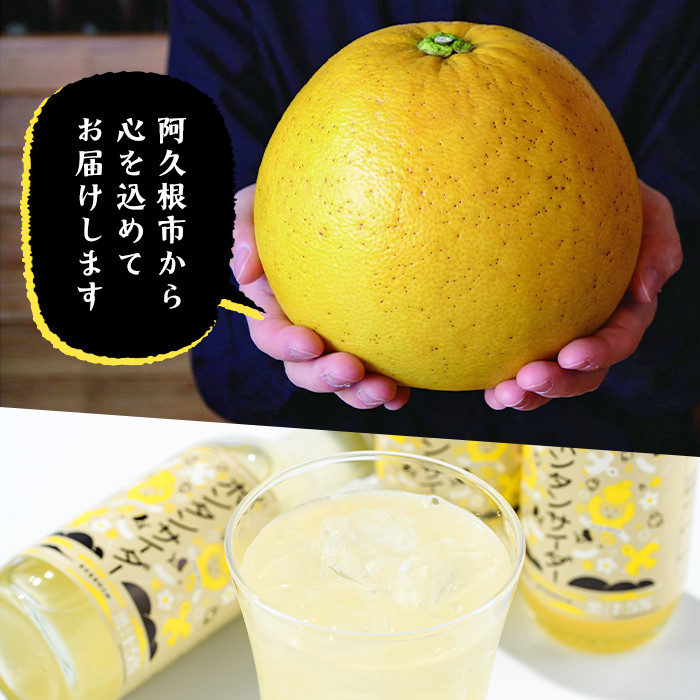 ボンタンサイダー(24本) 一つ一つ手作業で皮を剥き、果汁をしぼり仕上げました！ぼんたん ボンタン 文旦 サイダー ジュース 飲み物 飲料 果汁 フルーツ 果物 炭酸【ボンタンプロジェクト】akn055-02