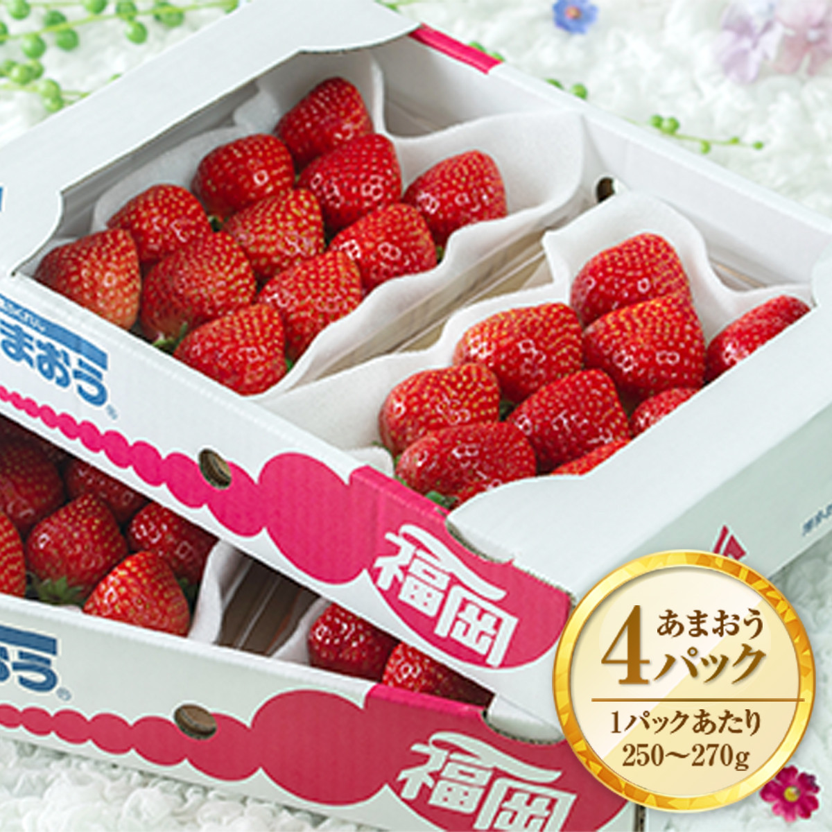 【期間限定発送】 いちご あまおう 福岡産 春 4パック [南国フルーツ 福岡県 宇美町 um40azo970002] 先行予約 イチゴ 苺 フルーツ 果物 果実 甘い 小分け あまい