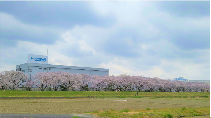 トーシンテックの自動車用乗降補助部品 ハイエース用ステップ【1343497】