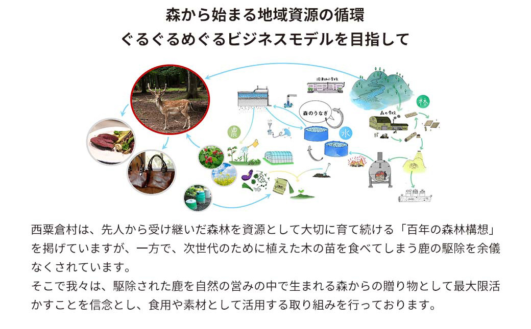 森のジビエ 鹿肉味付き詰合せセット 計600g A-JJ-A19A