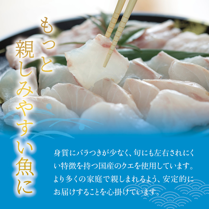 【先行予約】幻のクエ!国産 天然クエ鍋 500g / くえ 鍋 クエ鍋 天然 魚 魚貝 お鍋 セット 【fki104-cho】