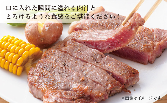 【最高級A5のみを厳選】 長崎和牛 サーロイン ステーキ 約240g（120g×2枚）【肉のあいかわ】 [QAA004] / 長崎県 佐々町