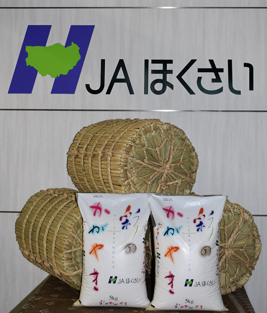 吉野家　冷凍牛丼の具10食