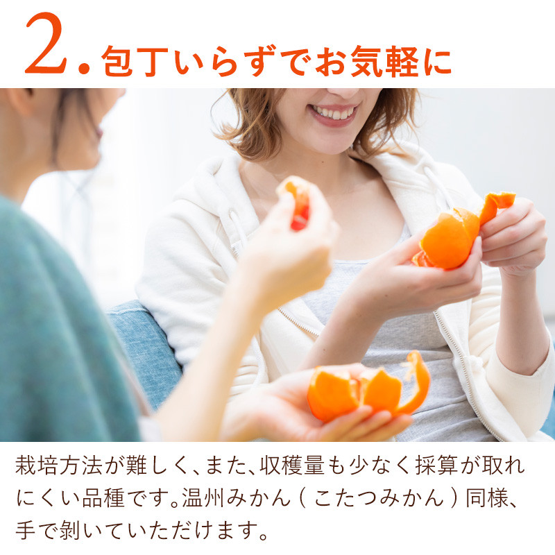 『先行予約』【令和9年1月下旬発送】浜王(はまおう) ハウス栽培 唐津産 5kg 口之津(くちのつ) 39号みかん フルーツ 果物 柑橘 かんきつ
