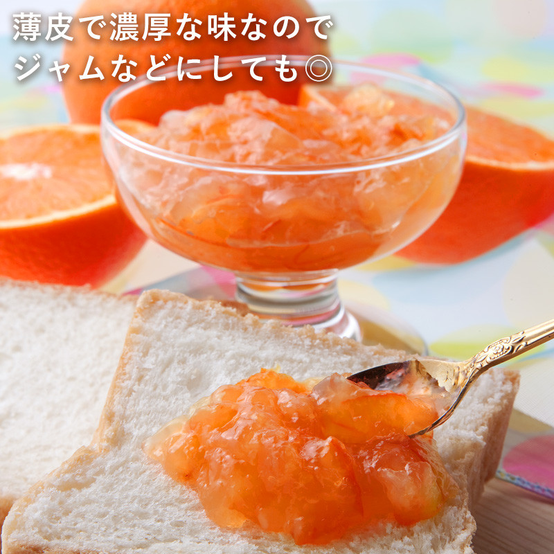 『先行予約』【令和8年11月発送】山下紅みかん(ハウス栽培)唐津産 5kg ミカン 蜜柑 果物 フルーツ
