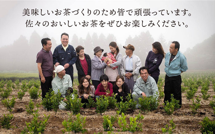 【世界が認めた有機栽培茶】抹茶 入り 有機 緑茶 ティーバッグ 4袋【北村茶園・茶の間】 [QAD001] お茶 緑茶 茶葉 茶 ティーパック ギフト / 長崎県 佐々町