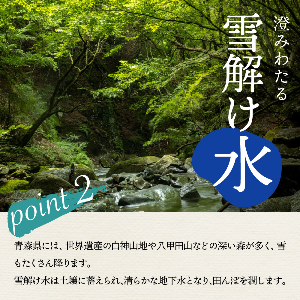 【定期便隔月3回】令和7年産 米 青天の霹靂 5kg(精米)【特A 8年連続取得】計15kg 晴天の霹靂