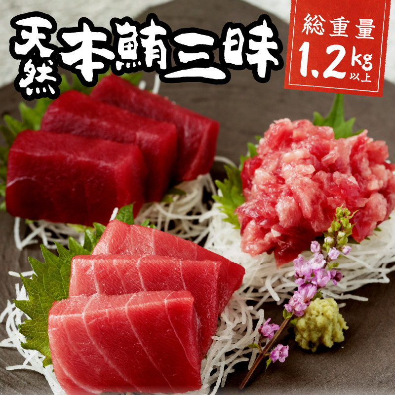 a30-175　総重量約1250g！天然本鮪三昧