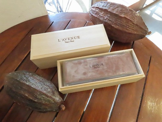 【L’AVENUE( ラヴニュー )】TERRINE CHOCOLAT テリーヌショコラ