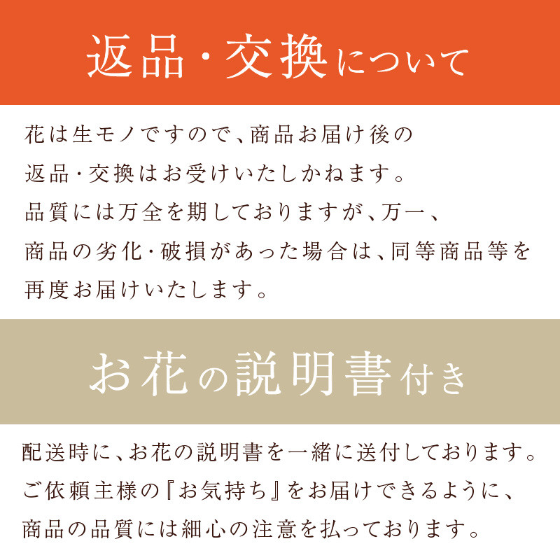 【そのまま飾れるブーケ】フレンチブーケ(Lサイズ)レッド系【2403U03807_03】