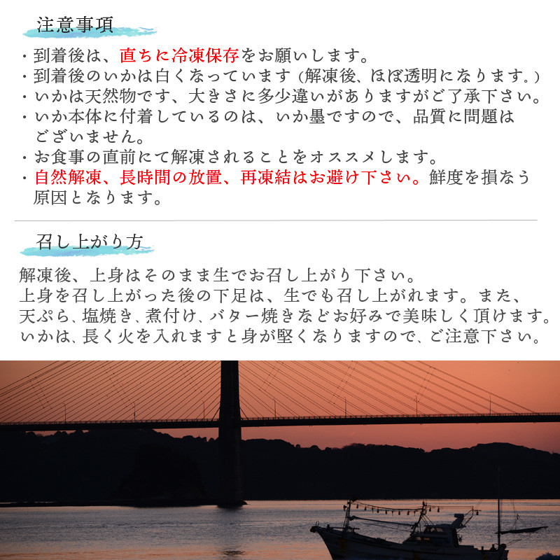 『先行予約』呼子のいか活造り3杯! コリコリ甘い鮮度抜群の透明感! 約200g×3(合計約600g) 刺身 ギフト 冷凍※水揚げあり次第5月以降順次発送させていただきます。